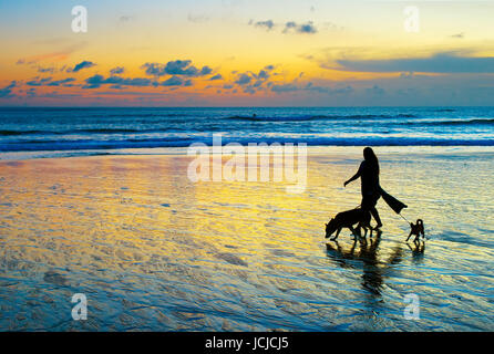 Frau mit zwei Hunden zu Fuß am Strand bei Sonnenuntergang. Insel Bali Stockfoto