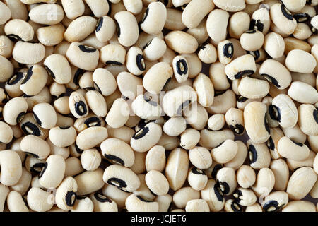 Hintergrund des Black-Eyed Dörrbohnen oder black-eyed Peas oder Ziege Erbsen. Stockfoto