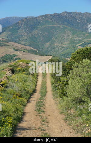 Pfad in der Kampagne führt in die Berge des Albera-Massivs, Banyuls Sur Mer, Pyrenäen Orientales, Roussillon, Südfrankreich Stockfoto