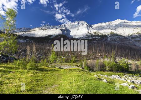 Colin-Bergkette und alten Feuer brennen von Ufern des Medicine Lake im Jasper-Nationalpark, Rocky Mountains, Alberta, Kanada Stockfoto