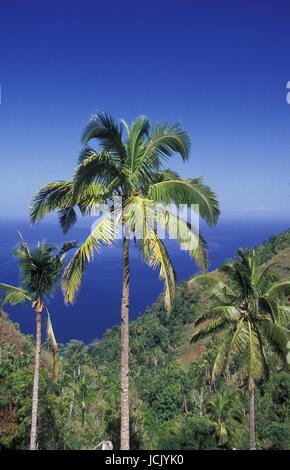 der Berg Landschaft auf der Insel Anjouan auf den Komoren abruptes im Indischen Ozean in Afrika. Stockfoto