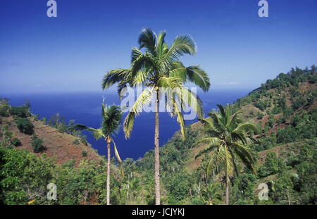 der Berg Landschaft auf der Insel Anjouan auf den Komoren abruptes im Indischen Ozean in Afrika. Stockfoto