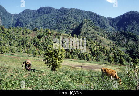 der Berg Landschaft auf der Insel Anjouan auf den Komoren abruptes im Indischen Ozean in Afrika. Stockfoto