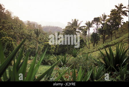 der Berg Landschaft auf der Insel Anjouan auf den Komoren abruptes im Indischen Ozean in Afrika. Stockfoto