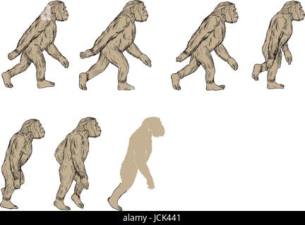 Sammlungssatz Abbildungen von Homo Habilis, eine Art des Stammes Hominini, während das Gelasium und kalabrischen Frühphase des pleistozänen pe Stock Vektor