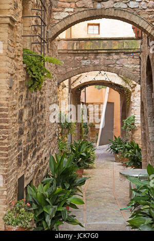 Romantische Straße dekoriert mit Pflanzen in der historischen italienischen Stadt. (Spello, Umbrien, Italien.) Stockfoto