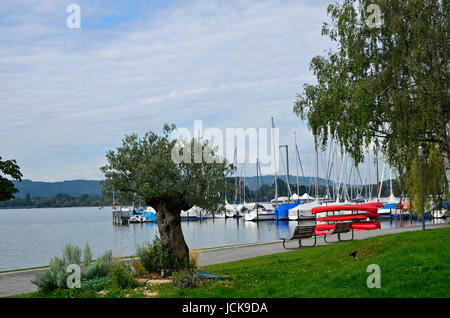 Uferpromenade am Bodensee, Sipplingen Stockfoto