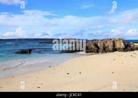 Sandy Beach von großen Darwin Bay auf Genovesa Island, Galapagos Nationalpark in Ecuador Stockfoto