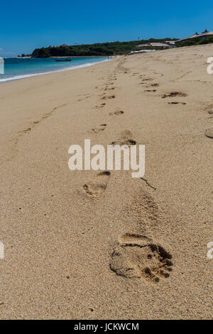 Schöner Einsamer Sandstrand in der Karibik Mit Weißem Sand Und Blauem Himmel Wie Im Paradies Stockfoto