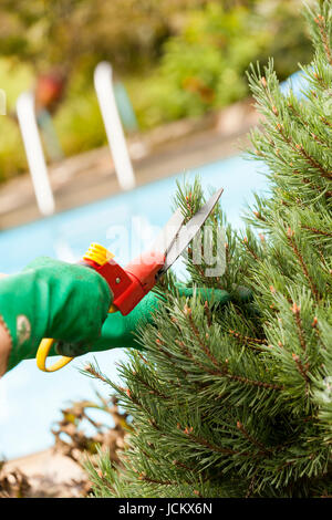 Bäckerlehrling Mit Handschuhen Und Einer Gartenschere Bei der Gartenarbeit Im Sommer Im Freien Stockfoto