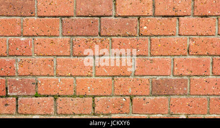 Die Textur der alten Mauer. Stockfoto