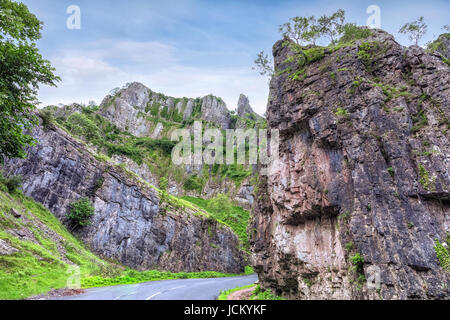 Cheddar Gorge, Mendip Hügel, Somerset, England, Vereinigtes Königreich Stockfoto