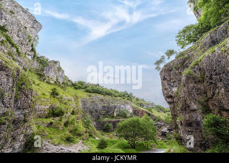 Cheddar Gorge, Mendip Hügel, Somerset, England, Vereinigtes Königreich Stockfoto