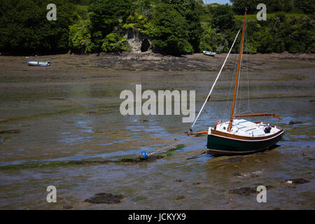 Segelboot auf Salcombe Esuary Wattenmeer bei Ebbe gestrandet Stockfoto