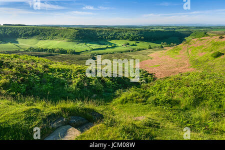Loch des Horcum in den North York Moors mit Blick auf Ackerland, Moor und Vegetation an einem feinen Frühlingsmorgen in der Nähe von Goathland, Yorkshire, Großbritannien. Stockfoto