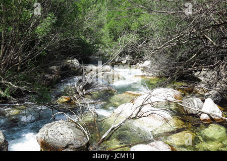 Sant Nicolau Fluss im Aigüestortes Nationalpark in den katalanischen Pyrenäen, Spanien Stockfoto