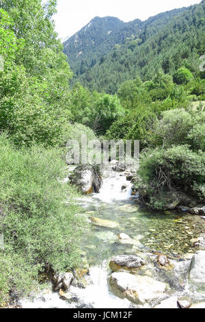 Sant Nicolau Fluss im Aigüestortes Nationalpark in den katalanischen Pyrenäen, Spanien Stockfoto