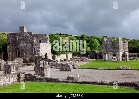 Ruinen der alten Mellifont Abbey Ruinen im County Louth, Irland Stockfoto