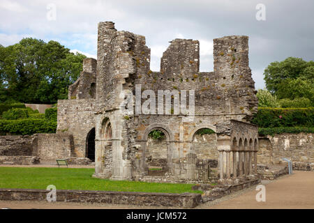 Lavabo in den Ruinen von Mellifont Abbey Stockfoto