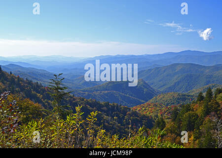 Appalachian Mountain Szene-01 Smokey Berggipfel Rückzug in die Ferne im Herbst. Stockfoto