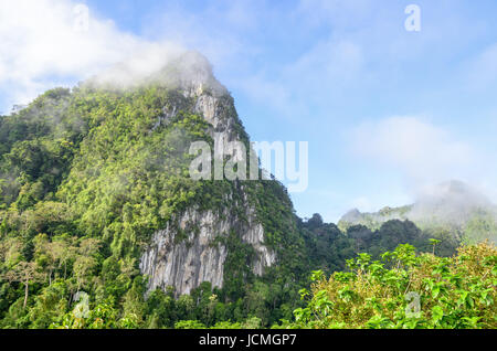 Üppige hohen Kalkberg fallenden Nebel umgeben von tropischen Wäldern von Thailand Stockfoto