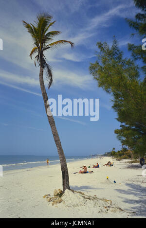Fort Myers Beach, Lee County, Florida, Frankreich, Europa Stockfoto