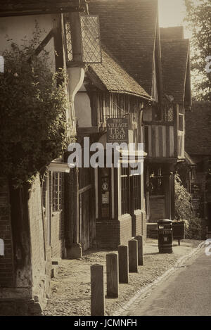 Chiddingstone Dorf in der Nähe von Edenbridge, Kent, England Stockfoto