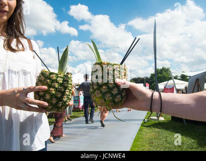 Regent Park, London, UK. 15. Juni 2017. Besucher auf dem Geschmack von London Festival im Regents Park, wo der Londoner Spitzenköche zeigen ihr können und serviere köstliche Speisen in der Sonne. Bildnachweis: Michael Tubi/Alamy Live-Nachrichten Stockfoto