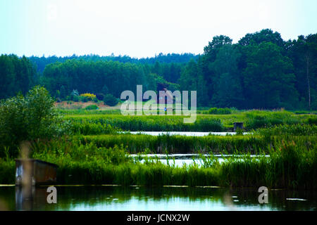 Grzegorzewice, Polen. 16. Juni 2017. Wetter bewölkt, Regen und Gewitter verwandelt. Bildnachweis: Madeleine Ratz/Alamy Live-Nachrichten Stockfoto