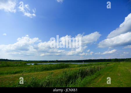 Grzegorzewice, Polen. 16. Juni 2017. Wetter bewölkt, Regen und Gewitter verwandelt. Bildnachweis: Madeleine Ratz/Alamy Live-Nachrichten Stockfoto