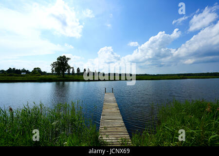 Grzegorzewice, Polen. 16. Juni 2017. Wetter bewölkt, Regen und Gewitter verwandelt. Bildnachweis: Madeleine Ratz/Alamy Live-Nachrichten Stockfoto