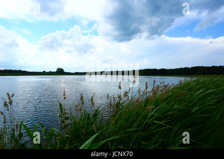 Grzegorzewice, Polen. 16. Juni 2017. Wetter bewölkt, Regen und Gewitter verwandelt. Bildnachweis: Madeleine Ratz/Alamy Live-Nachrichten Stockfoto