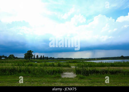 Grzegorzewice, Polen. 16. Juni 2017. Wetter bewölkt, Regen und Gewitter verwandelt. Bildnachweis: Madeleine Ratz/Alamy Live-Nachrichten Stockfoto