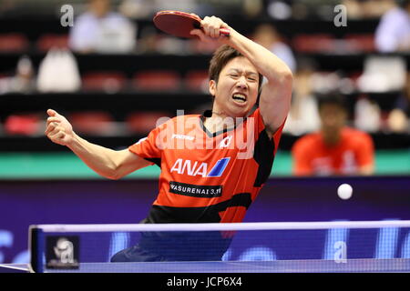 Tokyo Metropolitan Gymnasium, Tokio, Japan. 17. Juni 2017. Jun Mizutani (JPN), 17. Juni 2017 - Tischtennis: ITTF World Tour Japan Open 2017 Herreneinzel am Tokyo Metropolitan Gymnasium, Tokio, Japan. Bildnachweis: Naoki Nishimura/AFLO SPORT/Alamy Live-Nachrichten Stockfoto