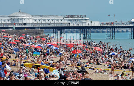 Brighton, UK. 17. Juni 2017. Brighton Beach ist gepackt, da die Südküste swelters in strahlendem Sonnenschein und hohen Temperaturen, die voraussichtlich über das Wochenende Kredit weiter: Simon Dack/Alamy Live News Stockfoto