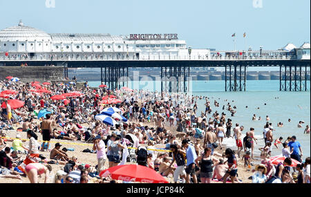 Brighton, UK. 17. Juni 2017. Brighton Beach ist gepackt, da die Südküste swelters in strahlendem Sonnenschein und hohen Temperaturen, die voraussichtlich über das Wochenende Kredit weiter: Simon Dack/Alamy Live News Stockfoto