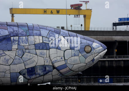 Große Keramik Lachs in Belfast Stockfoto