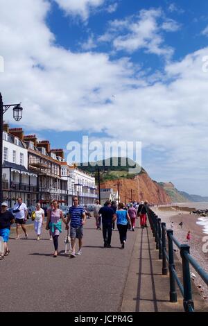 Sidmouth Promenade Blick Nach Osten In Richtung Peak Hill, Devon. Großbritannien, Juni 2017. Stockfoto