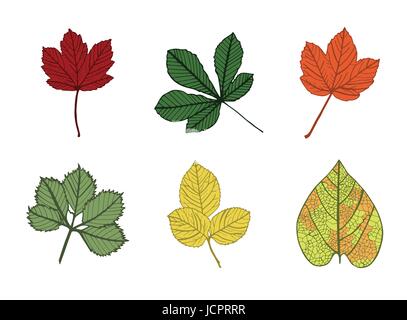 Vektor Symbol der Blätter im Herbst Stock Vektor
