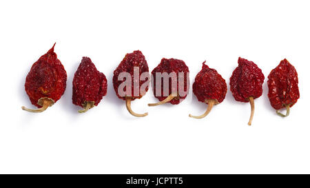 Getrocknete Habanero (Capsicum Chinense) Chilli, ganze Schoten. Schneidepfade, Schatten getrennt, Top Aussicht Stockfoto