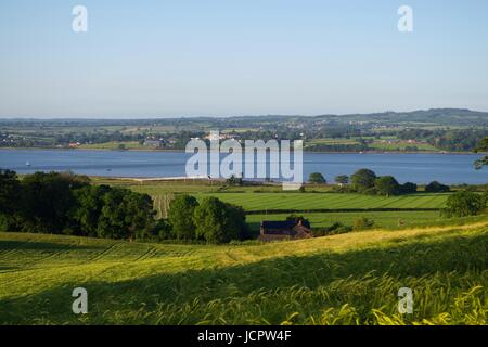 Das Gelände von Powderham Castle an der exe Mündung im goldenen Licht eines Summers Abend. Devon, Großbritannien. Juni 2017. Stockfoto