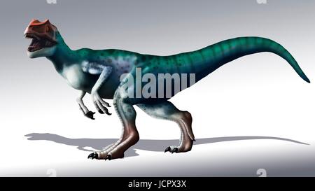 Allosaurus Dinosaurier, Artwork. Oberjura waren große fleischfressende Theropoden, die während der späten Jurazeit (150 bis 155 Millionen Jahren) im heutigen Nordamerika lebten. Sie waren zweibeinigen (zweibeinige) Raubtiere, die im Durchschnitt einer Höhe von 8,5 Metern. Sie waren die Spitzenprädatoren ihrer Zeit und haben als der Löwe des Juras bezeichnet. Stockfoto