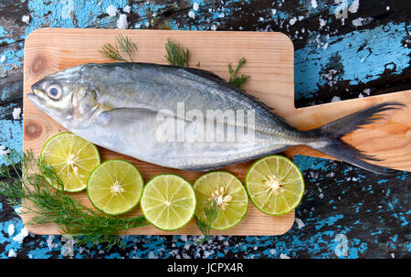 Trevally Fischen oder Jack eingefroren im Eis mit Zitrone und Salz frisch vom Markt der Fischerei zum Kochen bereit. Stockfoto