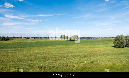 Panorama von Überschwemmungsgebieten des Flusses Waal vom Deich in der Nähe von Brakel, Bommelerwaard, Gelderland, Niederlande Stockfoto