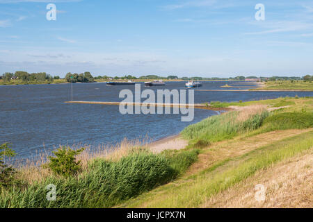 Panorama der Fluss Waal mit Buhnen und Binnenschiffsverkehr Versand vom Deich am Südufer in der Nähe von Zuilichem, Bommelerwaard, Gelderland, Niederlande Stockfoto