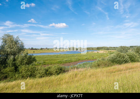 Panorama der Natur reservieren Breemwaard in Überschwemmungsgebieten des Flusses Waal vom Deich am Südufer in der Nähe von Nieuwaal, Bommelerwaard, Gelderland, Niederlande Stockfoto