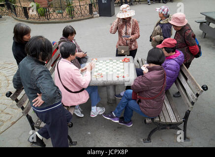 Chinesische Frauen Spielkarten im Columbus Park chinatown New York City USA Stockfoto