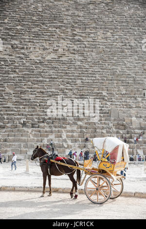 Pferd Wagen, in der Nähe der großen Pyramiden von Gizeh, Ägypten Stockfoto