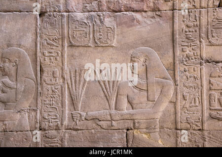 Schnitzereien an der Innenwand des Edfu Tempel, es ist eine der am besten erhaltenen Kultstätten in Ägypten, dem Falcon Gott Horus gewidmet, wurde in die Ptole Stockfoto