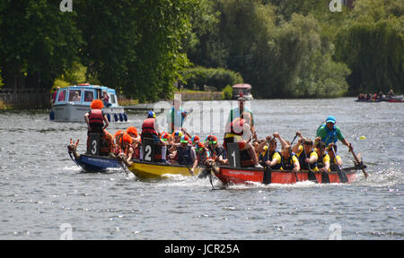 Drei Teams, die bei Marlow-Drachenbootrennen auf der Themse, Marlow, Buckinghamshire, England, Großbritannien, antreten Stockfoto